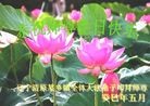 Published on 5/14/2013 ֹ,½󷨵ӹʦ𻪵߷ִ(93)
