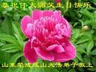Published on 5/14/2013 ֹ,½󷨵ӹʦ𻪵߷ִ(93)
