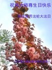 Published on 5/14/2013 ֹ,󷨵ӹʦ𻪵߷ִ(28)
