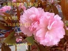 Published on 5/14/2013 ֹ,󷨵ӹʦ𻪵߷ִ(28)
