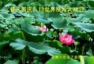 Published on 5/14/2013 ֹ,½󷨵ӹʦ𻪵߷ִ(93)
