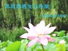 Published on 5/14/2013 ֹ,½󷨵ӹʦ𻪵߷ִ(93)
