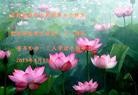 Published on 5/14/2013 ֹ,󷨵ӹʦ𻪵߷ִ(21)
