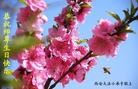 Published on 5/14/2013 ֹ,󷨵ӹʦ𻪵߷ִ(14)
