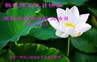Published on 5/14/2013 ֹ,½󷨵ӹʦ𻪵߷ִ(75)

