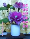 Published on 5/14/2013 ֹ,ɳ󷨵ӹʦ𻪵߷ִ(21)
