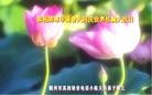 Published on 5/14/2013 ֹ,½󷨵ӹʦ𻪵߷ִ(56)
