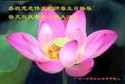 Published on 5/14/2013 ֹ,½󷨵ӹʦ𻪵߷ִ(56)
