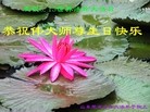 Published on 5/14/2013 ֹ,½󷨵ӹʦ𻪵߷ִ(56)
