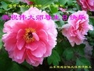 Published on 5/14/2013 ֹ,½󷨵ӹʦ𻪵߷ִ(56)
