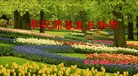 Published on 5/14/2013 ֹ,½󷨵ӹʦ𻪵߷ִ(56)
