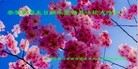 Published on 5/14/2013 ֹ,󷨵ӹʦ𻪵߷ִ(28)
