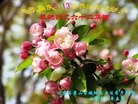 Published on 5/14/2013 ֹ,󷨵ӹʦ𻪵߷ִ(23)
