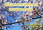 Published on 5/14/2013 ֹ,ϵͳ󷨵ӹʦ𻪵߷ִ(26)
