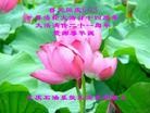 Published on 5/14/2013 ֹ,½󷨵ӹʦ𻪵߷ִ(46)

