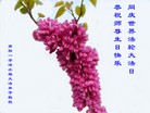 Published on 5/14/2013 ֹ,½󷨵ӹʦ𻪵߷ִ(66)
