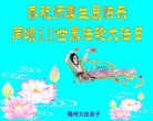 Published on 5/14/2013 ֹ,½󷨵ӹʦ𻪵߷ִ(66)
