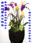 Published on 5/14/2013 ֹ,½󷨵ӹʦ𻪵߷ִ(66)
