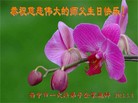 Published on 5/14/2013 ֹ,½󷨵ӹʦ𻪵߷ִ(66)
