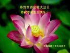 Published on 5/14/2013 ֹ,½󷨵ӹʦ𻪵߷ִ(82)
