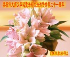 Published on 5/14/2013 ֹ,½󷨵ӹʦ𻪵߷ִ(82)
