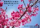 Published on 5/14/2013 ֹ,½󷨵ӹʦ𻪵߷ִ(82)
