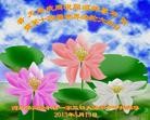 Published on 5/14/2013 ֹ,½󷨵ӹʦ𻪵߷ִ(82)
