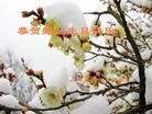 Published on 5/14/2013 ֹ,½󷨵ӹʦ𻪵߷ִ(82)
