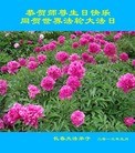 Published on 5/14/2013 ֹ,½󷨵ӹʦ𻪵߷ִ(82)
