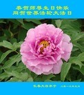 Published on 5/14/2013 ֹ,½󷨵ӹʦ𻪵߷ִ(82)
