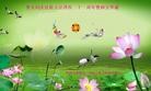 Published on 5/14/2013 ֹ,½󷨵ӹףʦ𻪵߷ִ(78)

