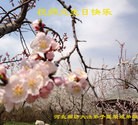 Published on 5/14/2013 ֹ,½󷨵ӹףʦ𻪵߷ִ(78)
