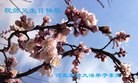 Published on 5/14/2013 ֹ,½󷨵ӹףʦ𻪵߷ִ(78)
