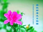Published on 5/14/2013 ֹ,½󷨵ӹףʦ𻪵߷ִ(78)
