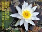 Published on 5/14/2013 ֹ,½󷨵ӹףʦ𻪵߷ִ(78)
