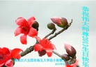 Published on 5/12/2013 ֹ,󷨵ӹʦ𻪵߷ִգ17
