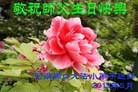 Published on 5/12/2013 ֹ,Сӹʦ𻪵編ִգ23
