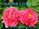 Published on 5/10/2013 ֹ,󷨵ӹʦ𻪵編ִգ18
