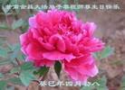 Published on 5/10/2013 ֹ,󷨵ӹʦ𻪵編ִգ18
