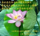 Published on 5/9/2013 ֹ,մ󷨵ӹʦ𻪵編ִգ20
