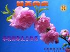 Published on 5/12/2013 ֹ,һش󷨵ӹʦ𻪵߷ִգ19
