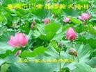 Published on 5/11/2013 ֹ,󷨵ӹʦ𻪵߷ִգ16

