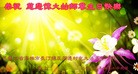 Published on 5/12/2013 ֹ,󷨵ӹʦ𻪵߷ִգ17
