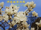 Published on 5/9/2013 ֹ,½󷨵ӹʦ𻪵編ִգ38
