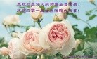 Published on 5/11/2013 ֹ,д󷨵ӹʦ𻪵߷ִգ22
