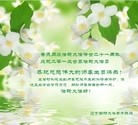 Published on 5/11/2013 ֹ,д󷨵ӹʦ𻪵߷ִգ22
