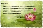 ֹ,󷨵ӹʦ𻪵߷ִգ21
