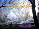 Published on 5/10/2013 ֹ,½󷨵ӹʦ𻪵編ִգ32
