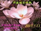 Published on 5/11/2013 ֹ,󷨵ӹʦ𻪵߷ִգ27
