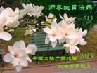 Published on 5/11/2013 ֹ,󷨵ӹʦ𻪵߷ִգ27
